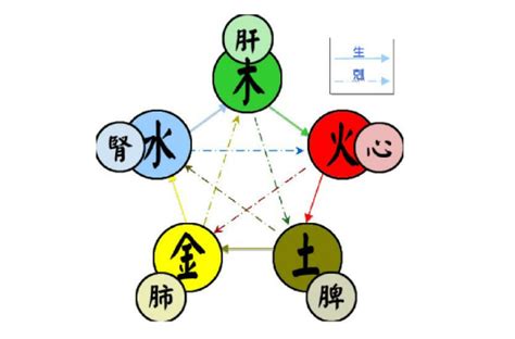 水木五行|五行（对万事万物的取象比类）